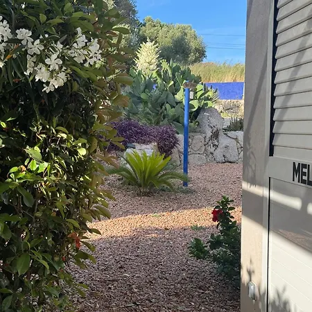 Patios Di Pruno Melo * Figari (Corsica)