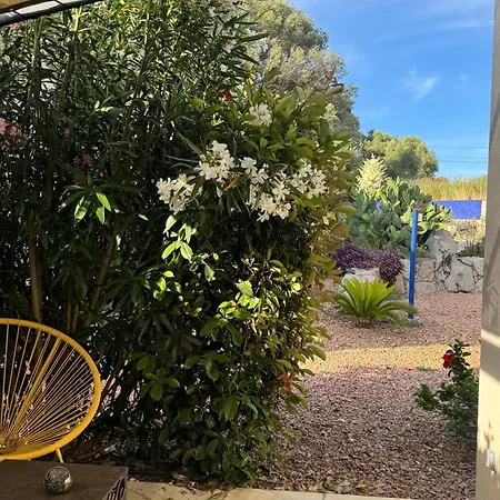 Patios Di Pruno Melo Holiday home Figari (Corsica)